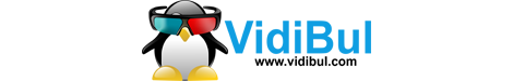 Vidibul Logo