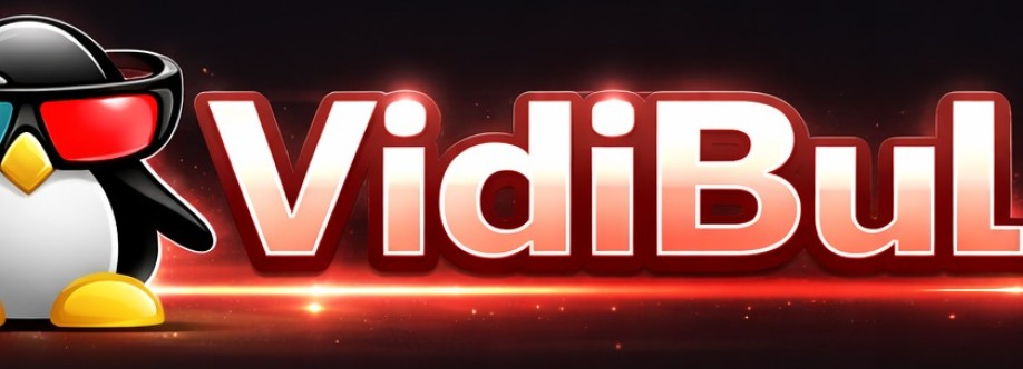 VidiBul Cover Image