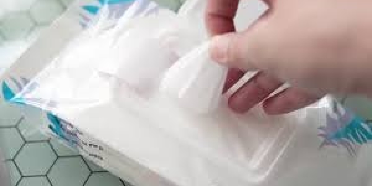 Wet Wipes Market Sustainability Trends and Eco Friendly Solutions